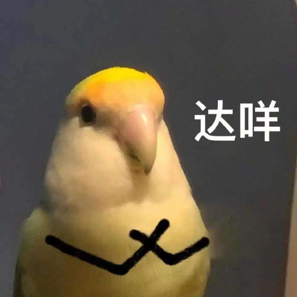 WCN㶼֪᣿