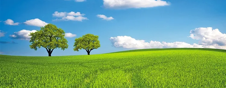 펟һĂ