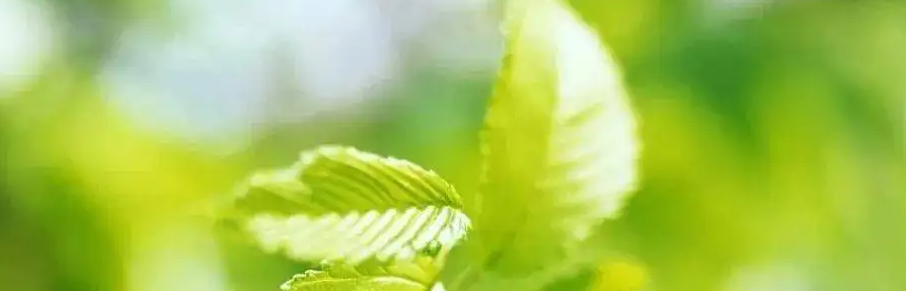 펟Cô2022