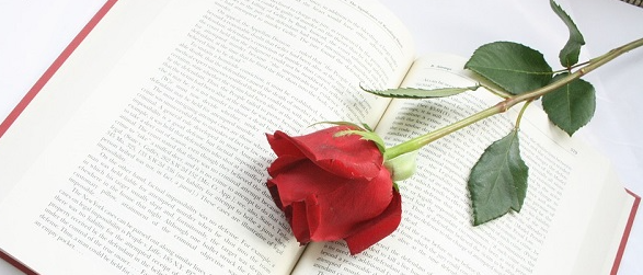 ӢTʿW(xu)vȼ΄
