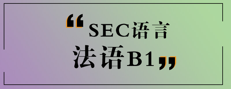 ZB1Ӗ