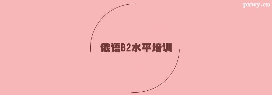 ZB2ˮƽӖ