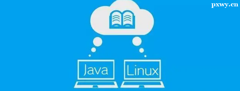 LinuxӖҪX