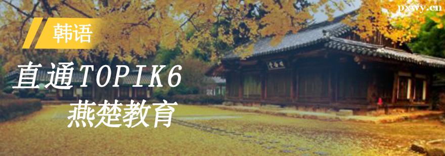 nZֱͨTOPIK6Ӗ(xn)