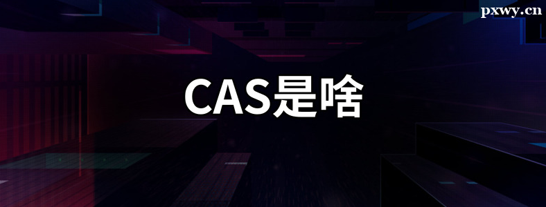 ՈCASʲô˼