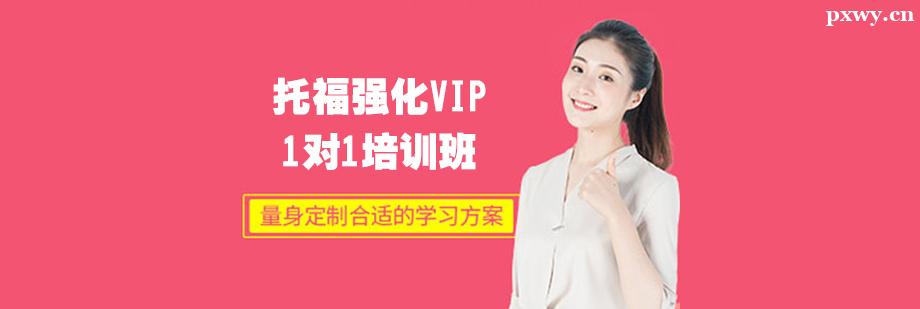 иVIP11Ӗ