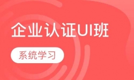 IJCUI