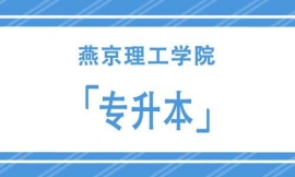 ྩWԺ