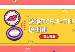 ꖷZTCF/E-TEFӖ