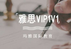 ɶ˼VIP1V1nӖ