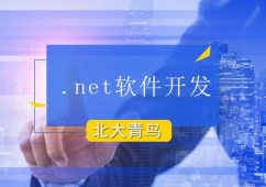 .netܛ_lnӖ