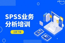 LɳSPSSIշӖ